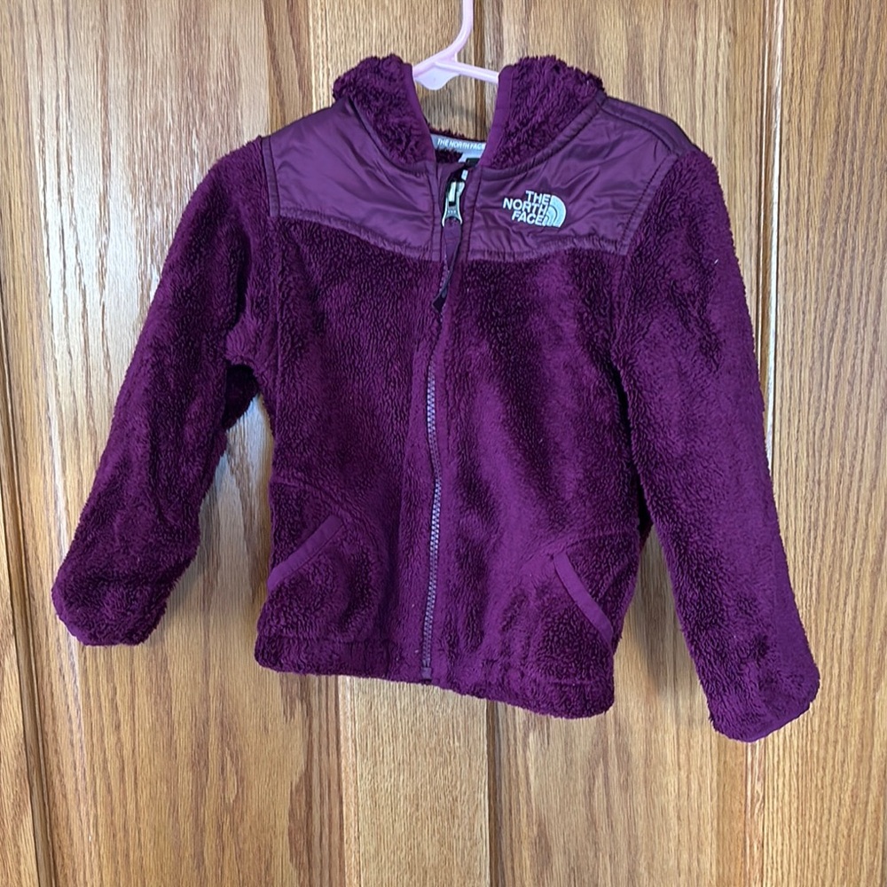 The North Face Purple Fleece Jacket